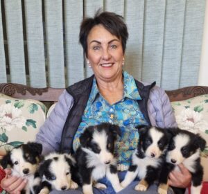 Puppy adoption